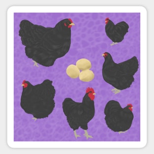 Black Orpington Chicken Purple Sticker